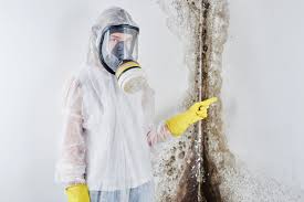 Best Water Damage & Mold Remediation  in Girardville, PA